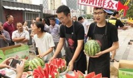 朝阳吃瓜群众,揭秘京城街头的热辣话题与趣味生活